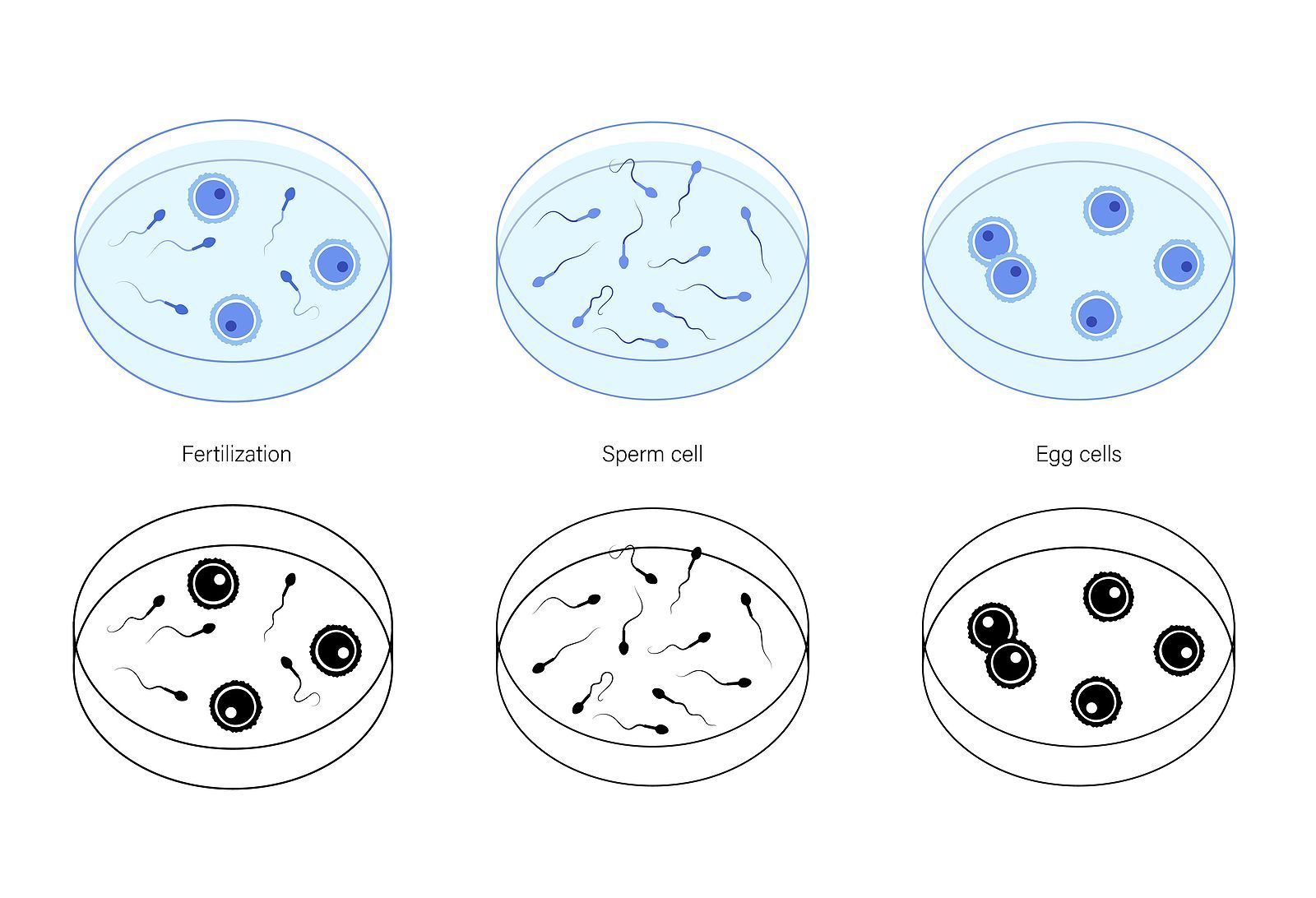 umc offers ivf financing - this article is about how much ivf costs