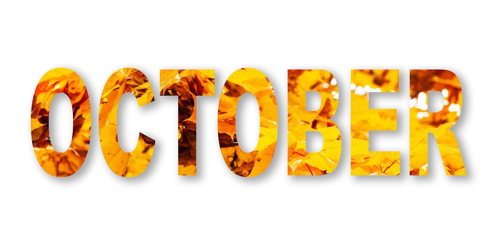Bold text "OCTOBER" with letters filled in with fall colored leaves.